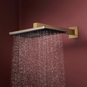 hansgrohe Raindance Alive Q 拉絲銅 雙模式頂噴花灑 |商品圖 hansgrohe Raindance Alive Q 拉絲銅 雙模式頂噴花灑 |商品圖
