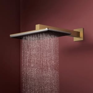 hansgrohe Raindance Alive Q 拉絲銅 雙模式頂噴花灑 |商品圖 hansgrohe Raindance Alive Q 拉絲銅 雙模式頂噴花灑 |商品圖