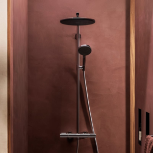 hansgrohe Raindance Alive 300 鉻色 節能恆溫淋浴花灑套組 24594000｜商品圖